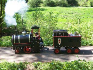 emma_03 Bollerwagen vor Hecke