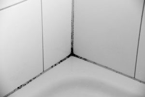 schwarzer Schimmel auf Silikonfugen