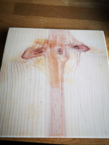 Unbehandeltes Holz mit Maserung