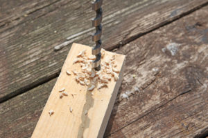 holz schlangenbohrer