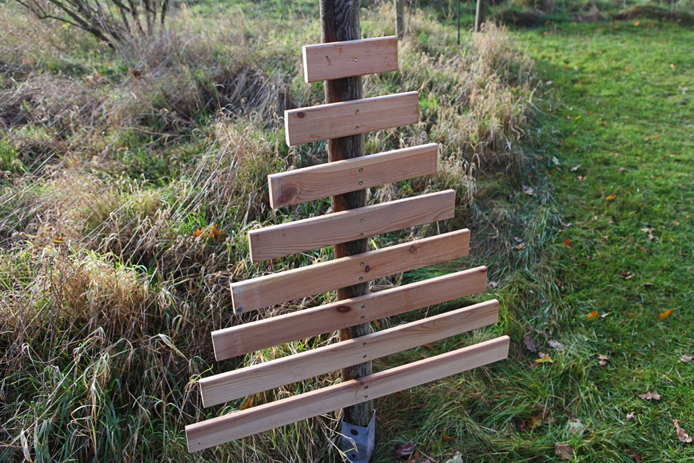 weihnachtsbaum weihnachtsbaum