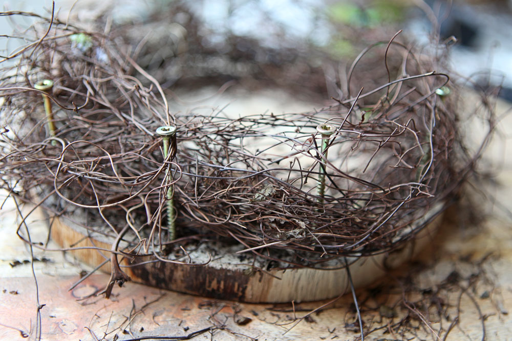 nest_binden nest binden