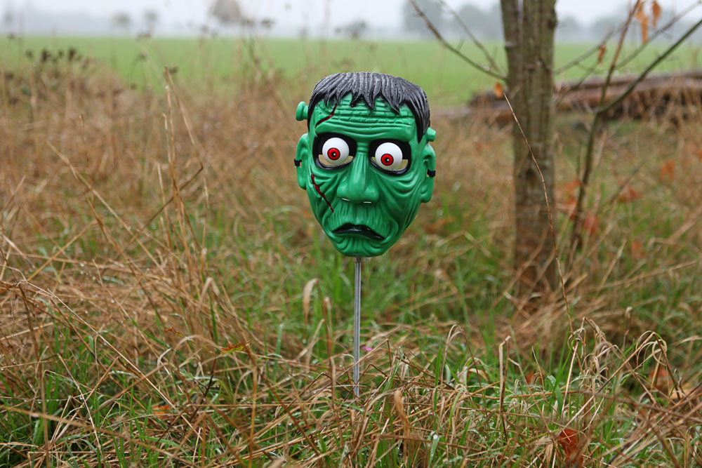 Sturmsichere Halloweendeko