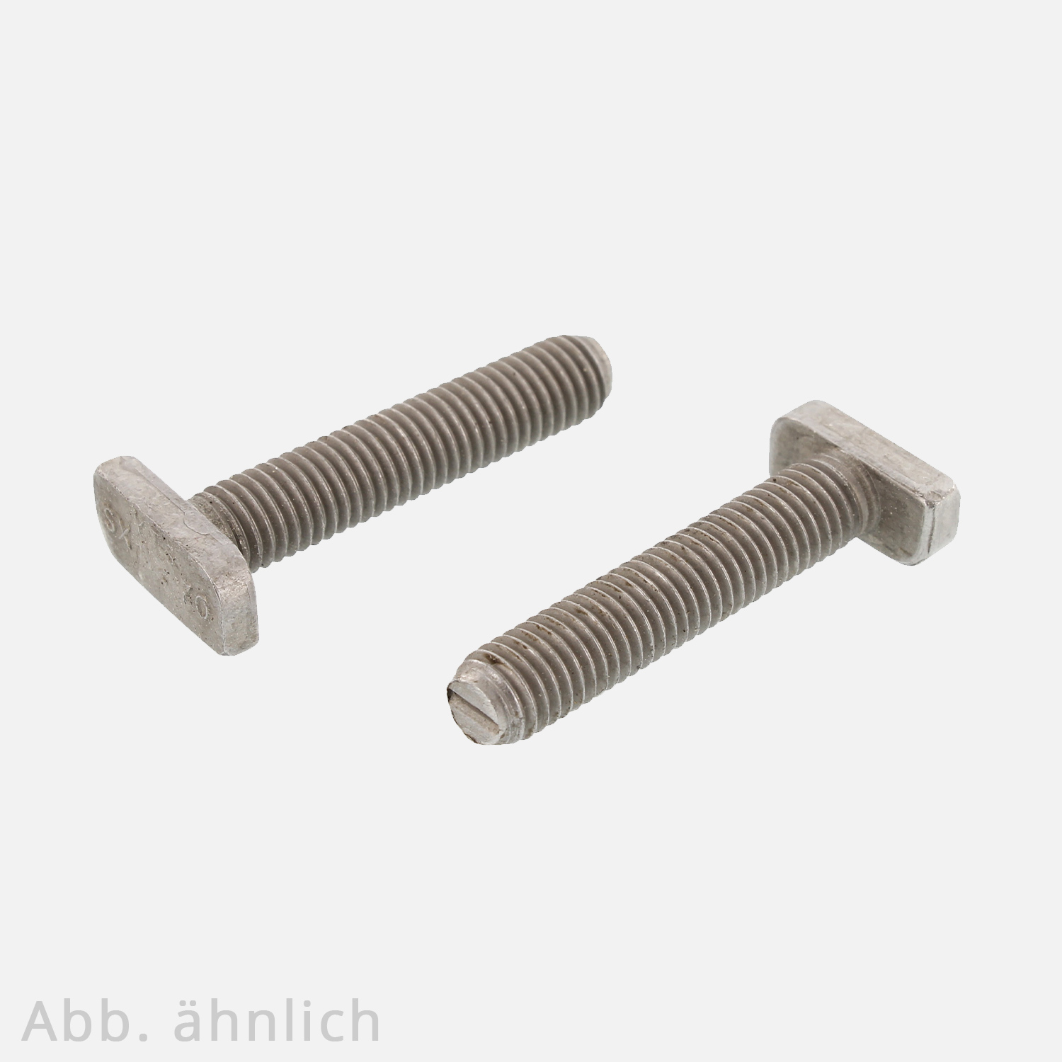 25 Halfenschrauben, Hammerkopfschrauben, Typ 28/15 , 10x100 mm ohne Mutter, Edelstahl A2