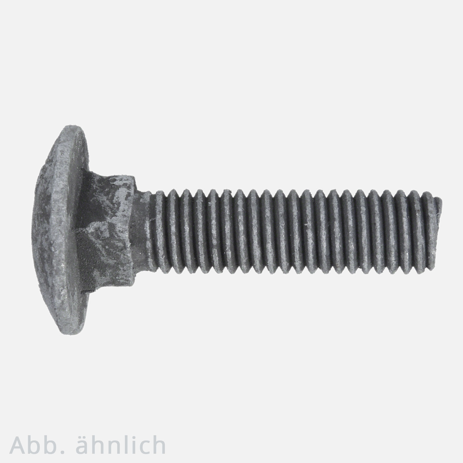 Flachrundschraube | DIN 603 | ohne Mutter | 8.8 | feuerverzinkt