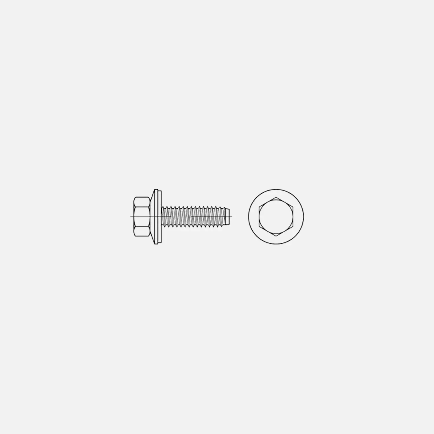 400 Fassadenschrauben mit Zapfen und Dichtscheibe 16 mm , 6,3x38 mm , Edelstahl A2