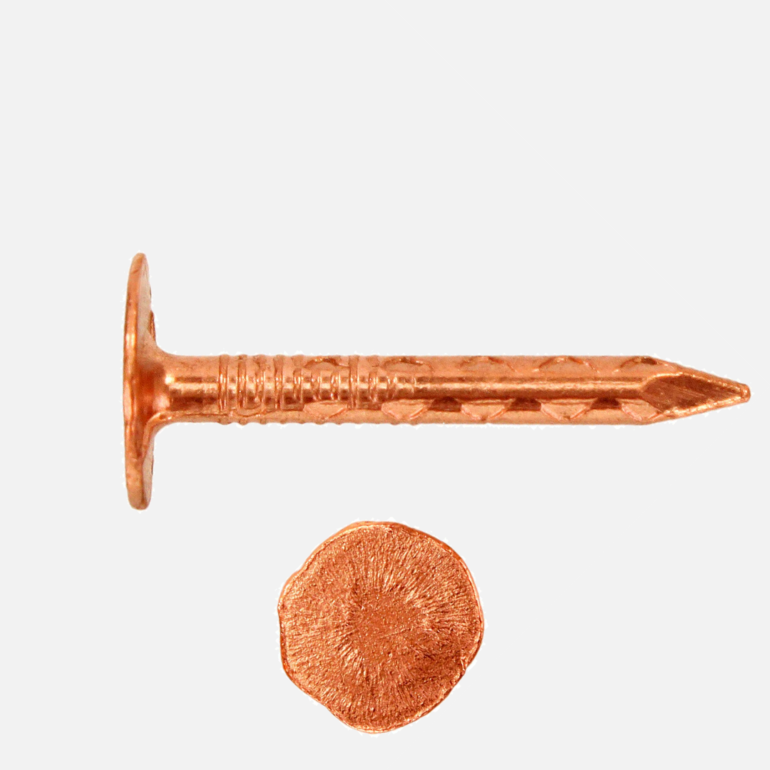 Pappnägel / Schieferstift | feuerverzinkt