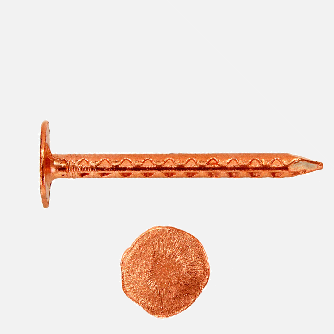 Pappnägel / Schieferstift | feuerverzinkt