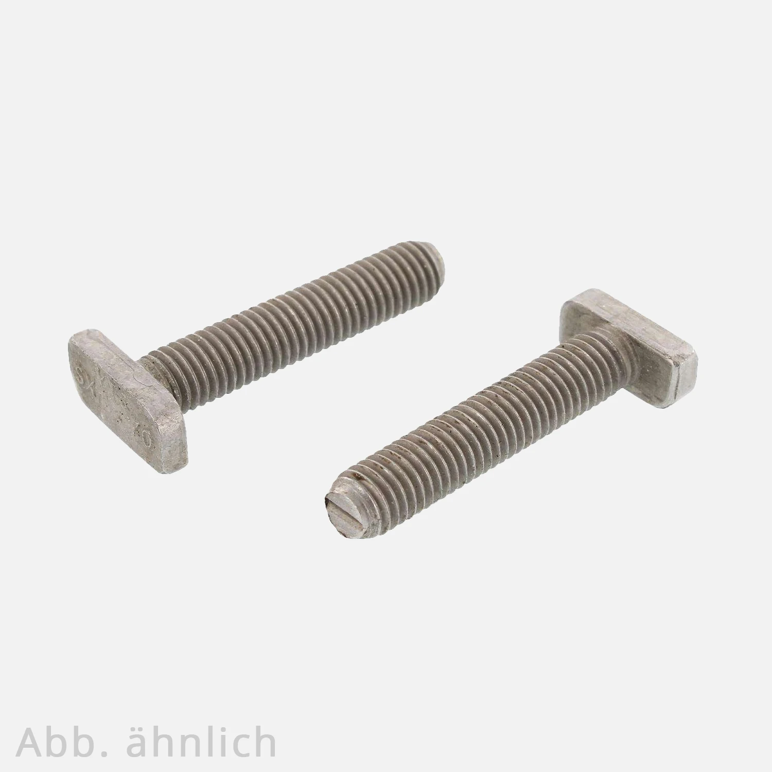 100 Halfenschrauben, Hammerkopfschrauben, Typ 28/15 , 10x25 mm ohne Mutter, Edelstahl A2