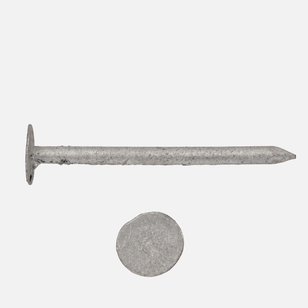 Pappnägel / Schieferstift | feuerverzinkt