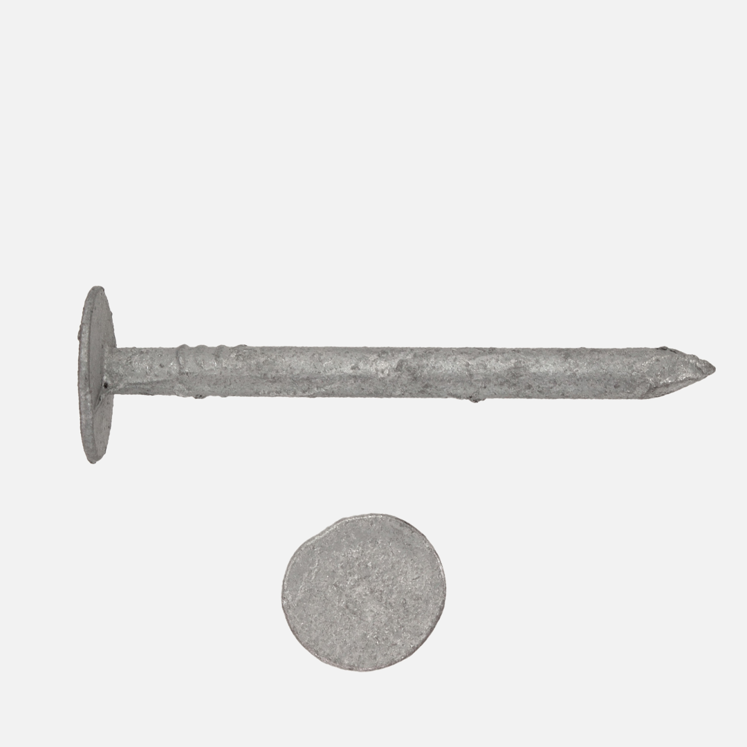 Pappnägel / Schieferstift | feuerverzinkt