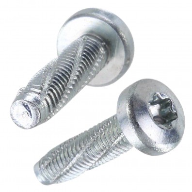 1000 Linsenkopf-Schneidschrauben M5x16mm - DIN 7516 Form AE - TX - verzinkt
