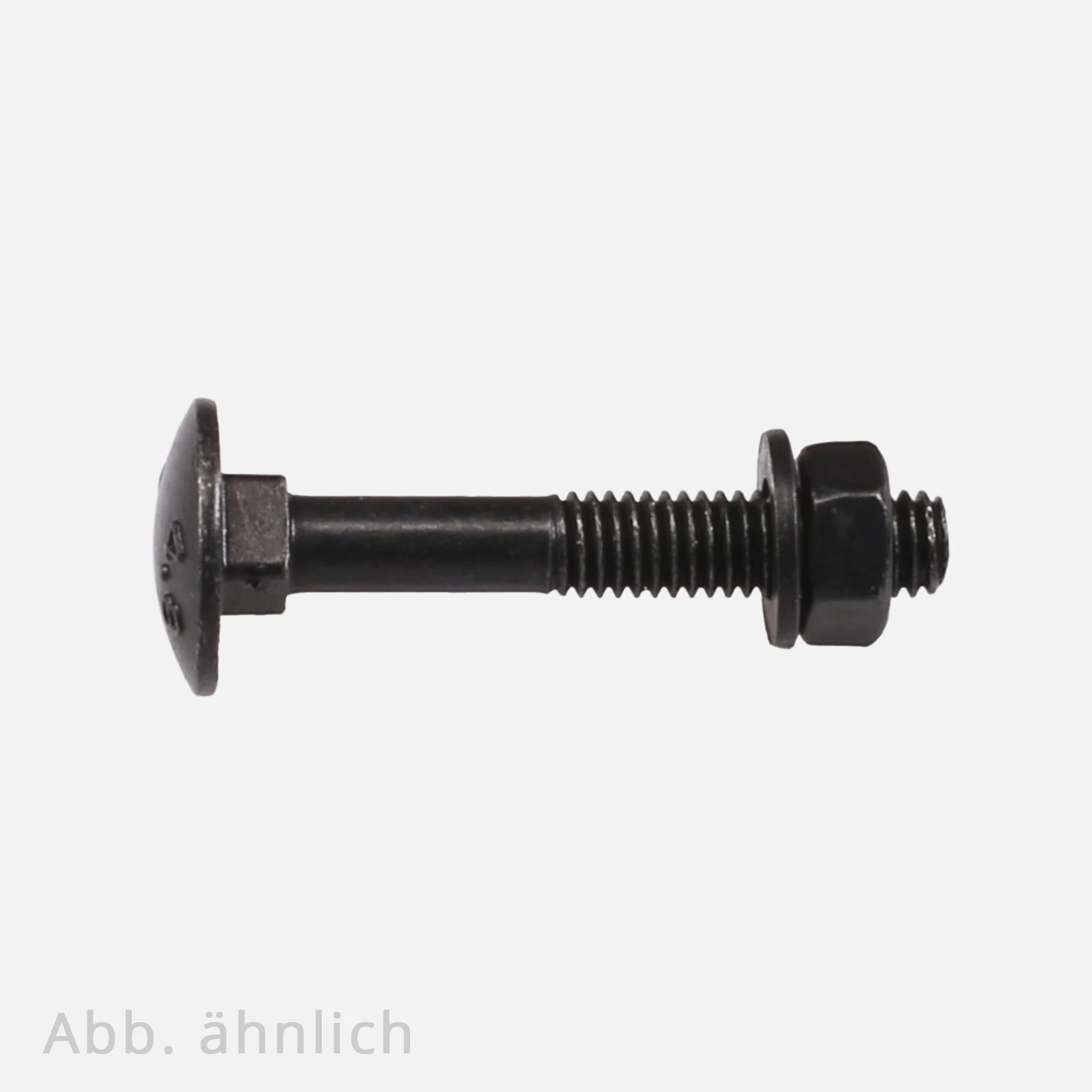 1 Schlossschraube/Flachrundschraube DIN 603 mit Vierkantansatz inkl. Scheiben und Muttern M6 x 60 mm