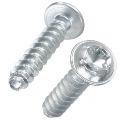 250 Gewindefurchende Schrauben 6x25 mm, mit Scheibe, RST, TX25, verzinkt