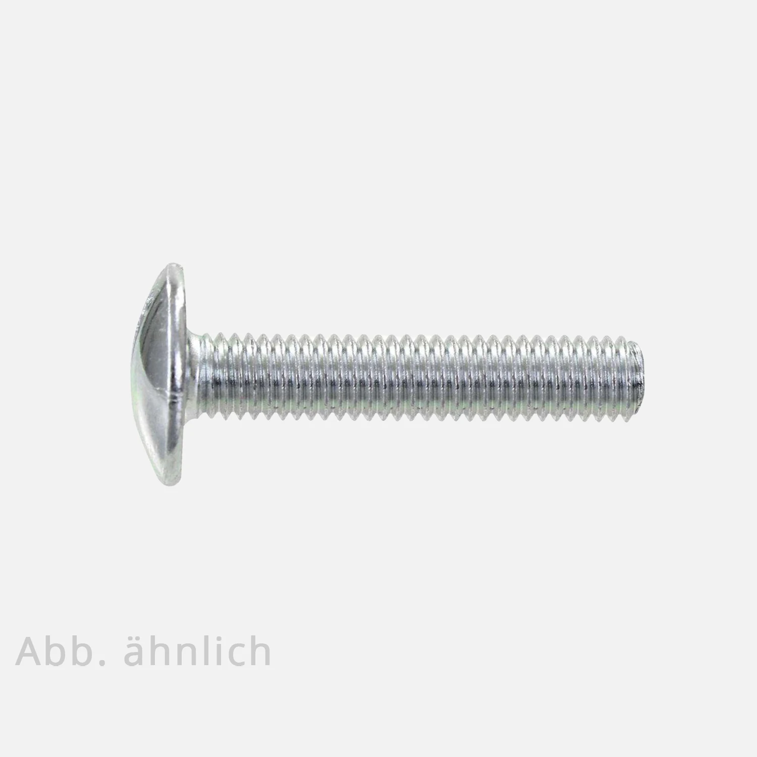 Flachrundschraube | Schlitz | verzinkt | ohne Mutter
