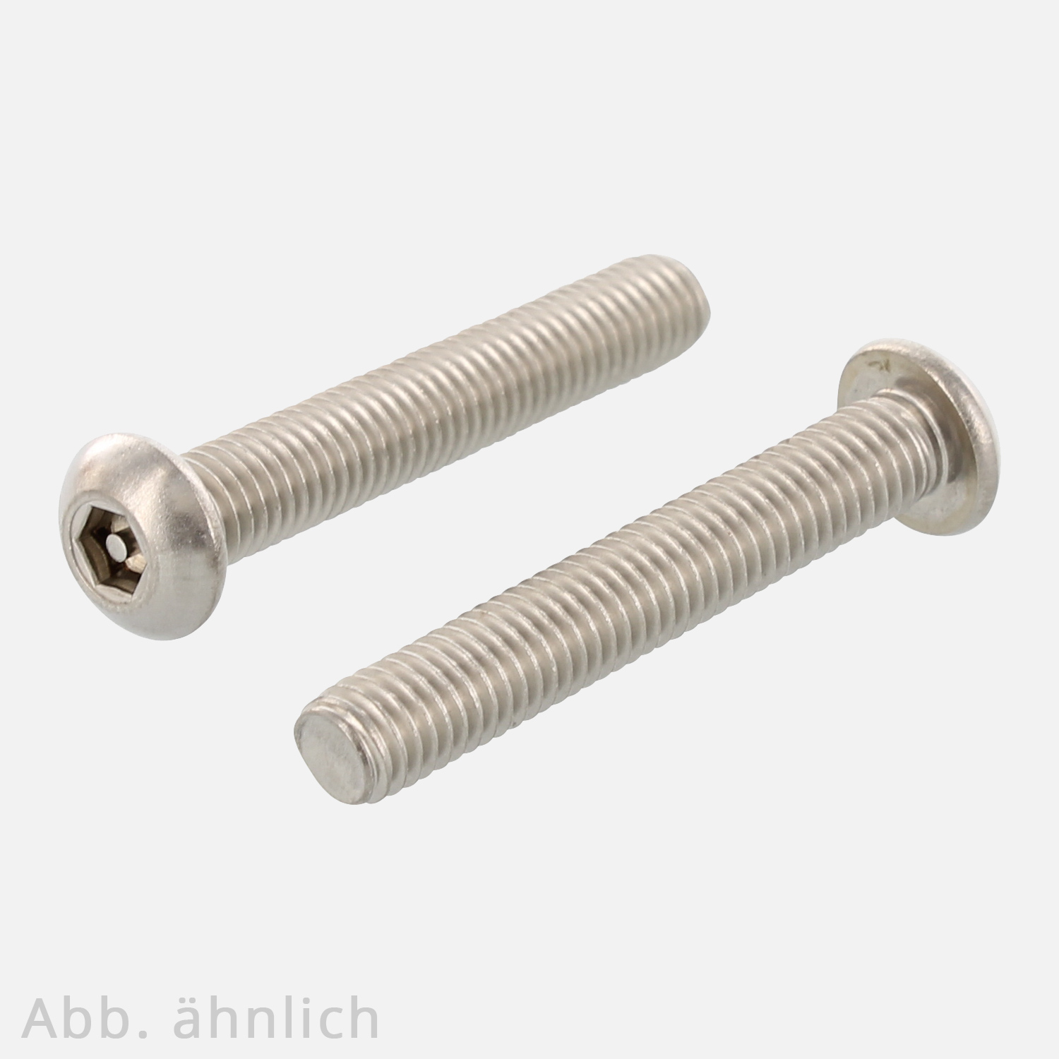 100 Sicherheitsschrauben, Flachrundkopf , M10x100 mm ,Antrieb Hex mit Loch/Tamper 6 , Edelstahl A2