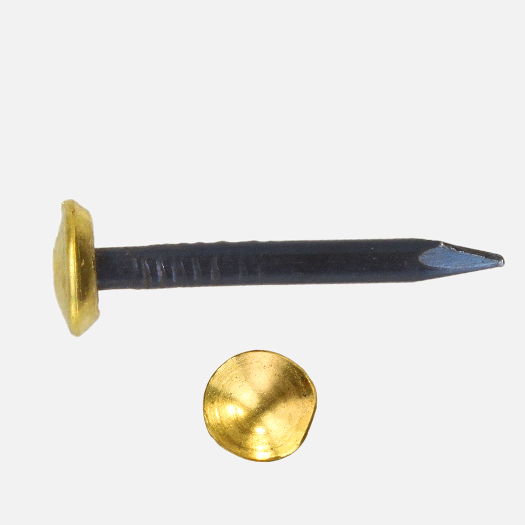 100 BÄR Stahl Bildernägel 2x20 mm, abgerundete Spitze, Messingkopf, Schaft blank