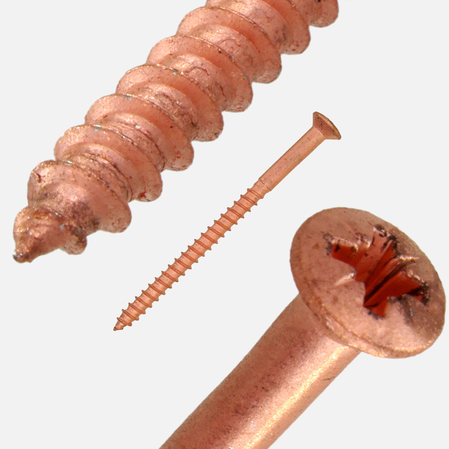 Holzschraube Pozidriv verkupfert Detailbild