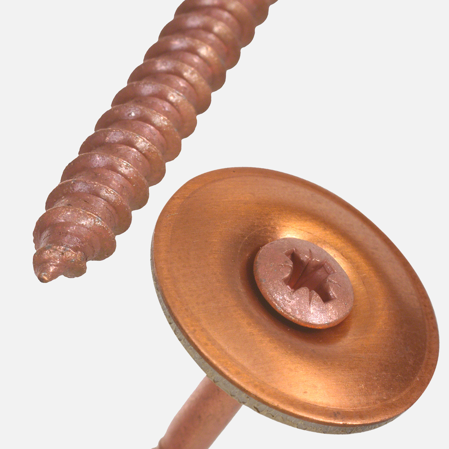 Linsenkopf und Schraubenspitze einer Spenglerschraube