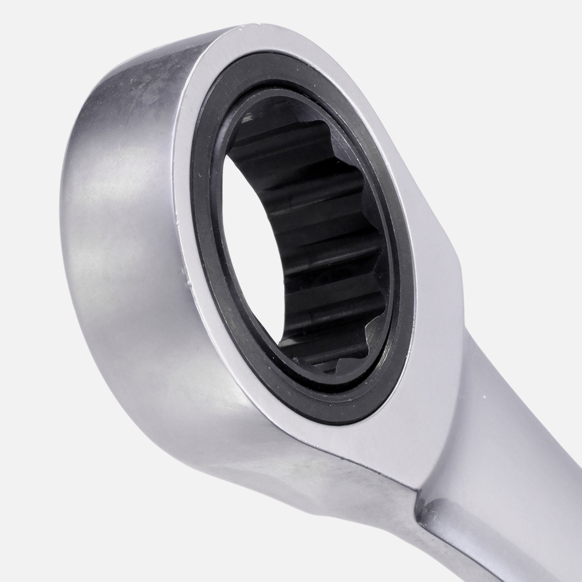 Nahaufnahme der Ringratsche des Elora Maulschl&uuml;ssels