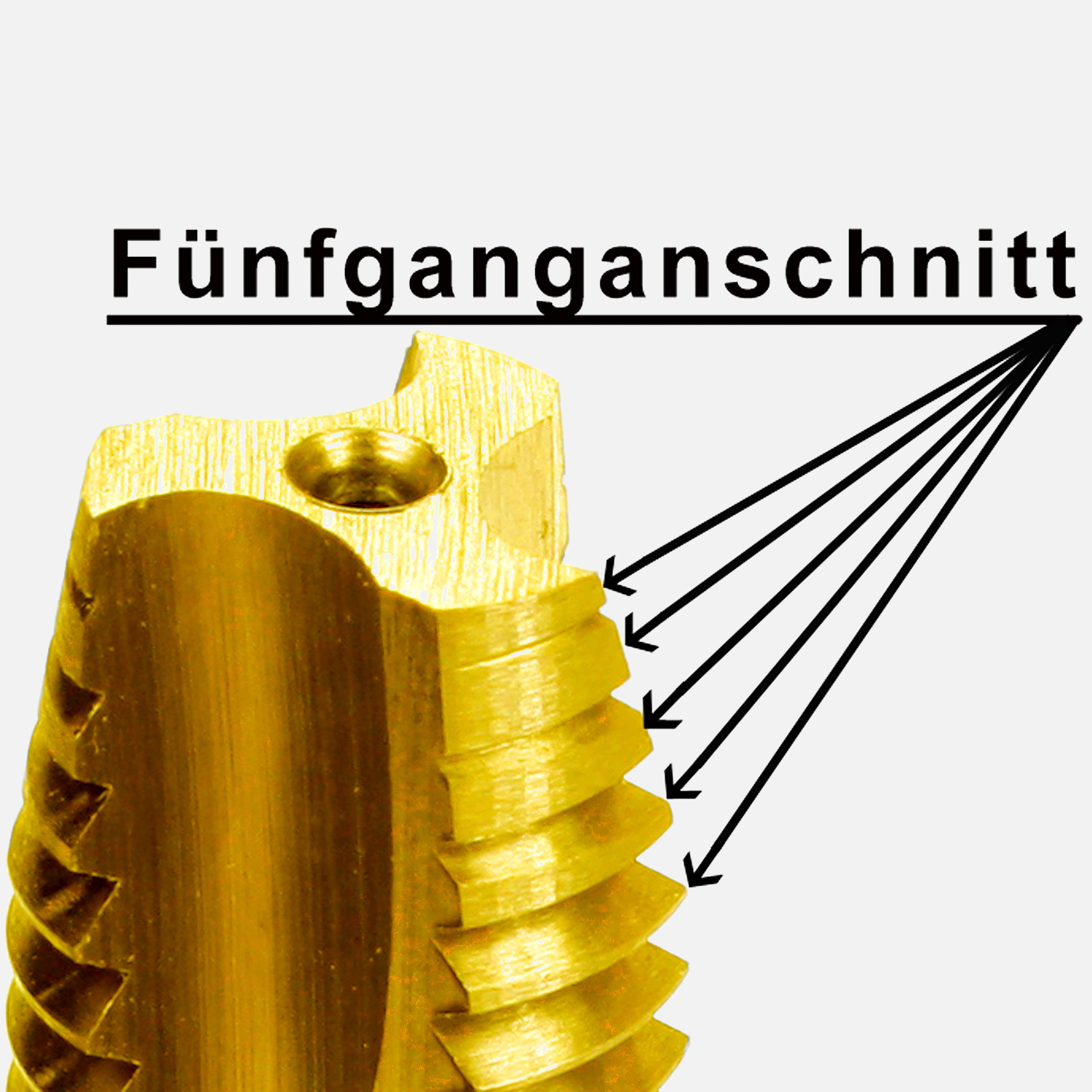 5Gang Sch&auml;lanschnitt