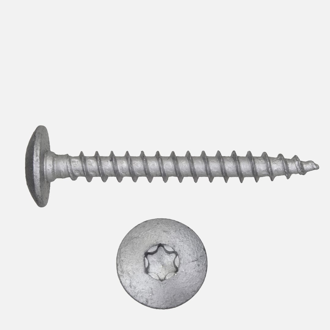 Beschlagschraube | Linsenkopf | TX | ruspert silber