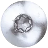 Torx